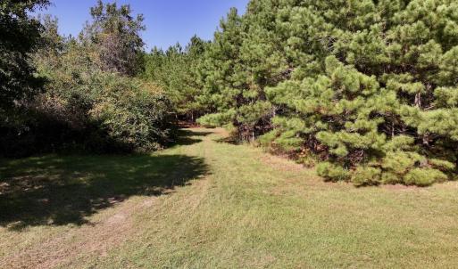 Photo #12 of Off of Earnest Loftin Road, Ayden, NC 43.6 acres
