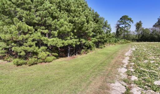Photo #13 of Off of Earnest Loftin Road, Ayden, NC 43.6 acres