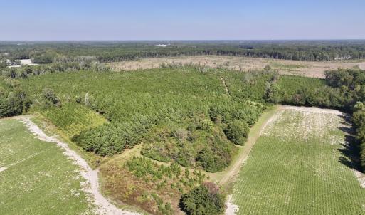 Photo #1 of Off of Earnest Loftin Road, Ayden, NC 43.6 acres