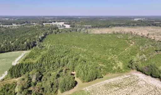 Photo #2 of Off of Earnest Loftin Road, Ayden, NC 43.6 acres