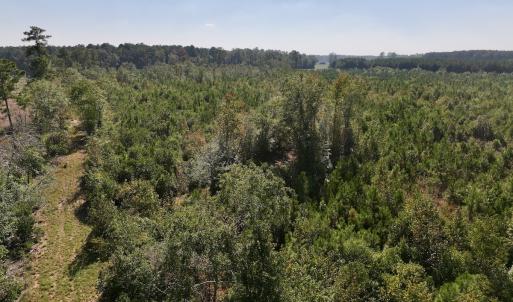 Photo #20 of Off of Earnest Loftin Road, Ayden, NC 43.6 acres