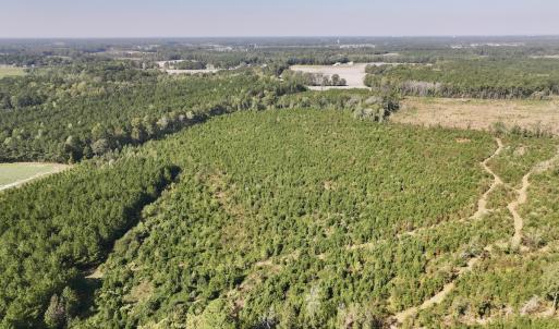 Photo #3 of Off of Earnest Loftin Road, Ayden, NC 43.6 acres