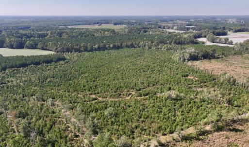 Photo #4 of Off of Earnest Loftin Road, Ayden, NC 43.6 acres