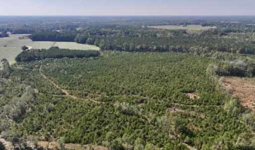 Photo #5 of Off of Earnest Loftin Road, Ayden, NC 43.6 acres