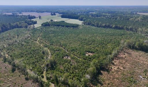 Photo #6 of Off of Earnest Loftin Road, Ayden, NC 43.6 acres