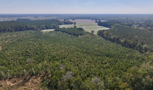 Photo #7 of Off of Earnest Loftin Road, Ayden, NC 43.6 acres