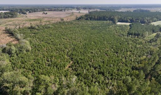 Photo #8 of Off of Earnest Loftin Road, Ayden, NC 43.6 acres