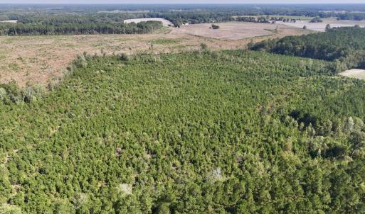 Photo #9 of Off of Earnest Loftin Road, Ayden, NC 43.6 acres