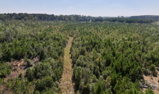 Photo #21 of Off of Earnest Loftin Road, Ayden, NC 43.6 acres