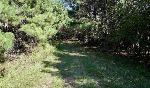 Photo #28 of Off of Earnest Loftin Road, Ayden, NC 43.6 acres