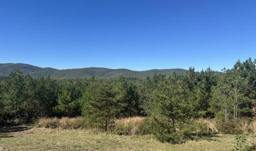 Photo #10 of  Off of Secretarys Sand Rd, Schuyler, VA 6.9 acres