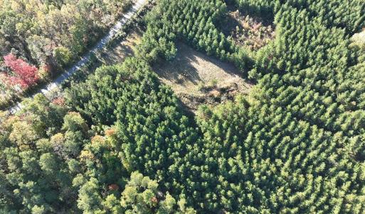 Photo #11 of  Off of Secretarys Sand Rd, Schuyler, VA 6.9 acres