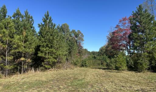 Photo #13 of  Off of Secretarys Sand Rd, Schuyler, VA 6.9 acres