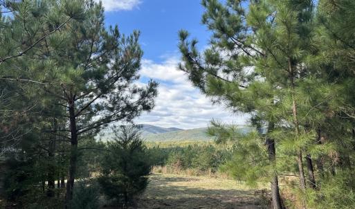 Photo #5 of  Off of Secretarys Sand Rd, Schuyler, VA 6.9 acres