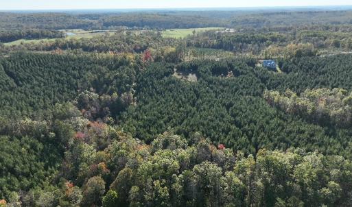 Photo #6 of  Off of Secretarys Sand Rd, Schuyler, VA 6.9 acres