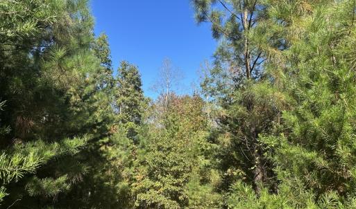 Photo #8 of  Off of Secretarys Sand Rd, Schuyler, VA 6.9 acres