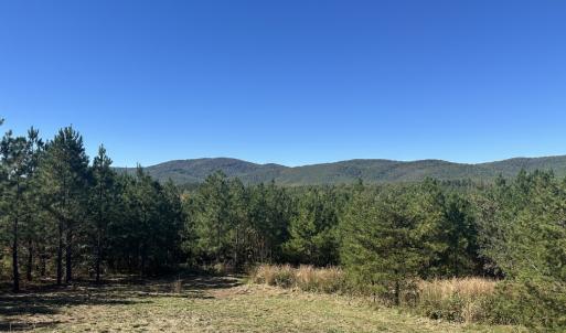 Photo #2 of  Off of Secretarys Sand Rd, Schuyler, VA 6.9 acres