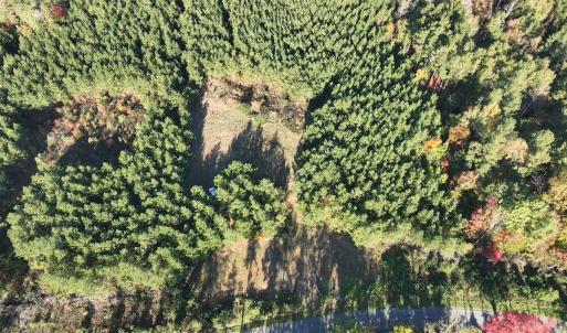 Photo #3 of  Off of Secretarys Sand Rd, Schuyler, VA 6.9 acres