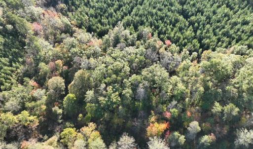Photo #17 of  Off of Secretarys Sand Rd, Schuyler, VA 6.9 acres