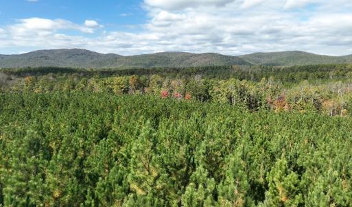 Photo #21 of  Off of Secretarys Sand Rd, Schuyler, VA 6.9 acres