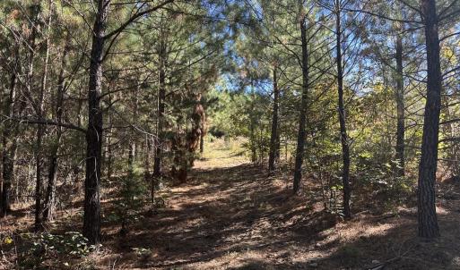 Photo #23 of  Off of Secretarys Sand Rd, Schuyler, VA 6.9 acres