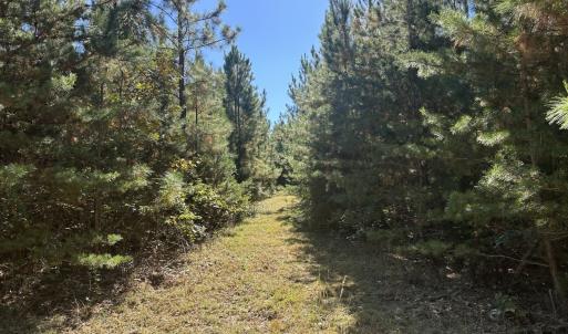 Photo #24 of  Off of Secretarys Sand Rd, Schuyler, VA 6.9 acres
