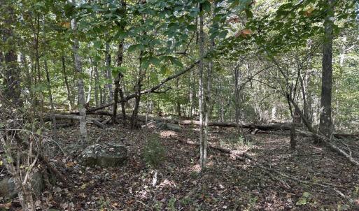 Photo #25 of  Off of Secretarys Sand Rd, Schuyler, VA 6.9 acres