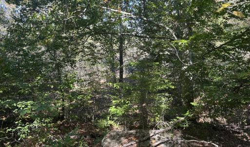 Photo #26 of  Off of Secretarys Sand Rd, Schuyler, VA 6.9 acres