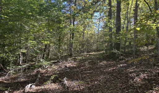 Photo #27 of  Off of Secretarys Sand Rd, Schuyler, VA 6.9 acres