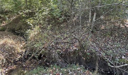 Photo #28 of  Off of Secretarys Sand Rd, Schuyler, VA 6.9 acres