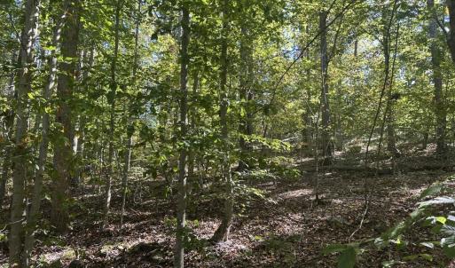 Photo #29 of  Off of Secretarys Sand Rd, Schuyler, VA 6.9 acres