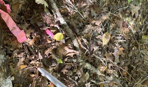 Photo #30 of  Off of Secretarys Sand Rd, Schuyler, VA 6.9 acres