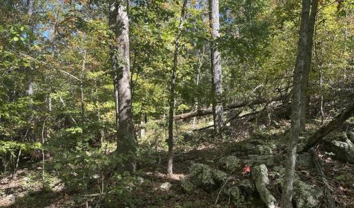 Photo #31 of  Off of Secretarys Sand Rd, Schuyler, VA 6.9 acres