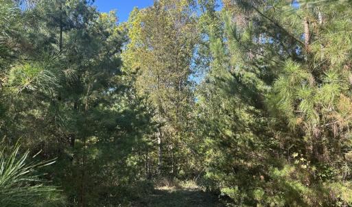 Photo #32 of  Off of Secretarys Sand Rd, Schuyler, VA 6.9 acres