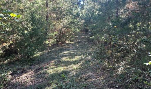 Photo #33 of  Off of Secretarys Sand Rd, Schuyler, VA 6.9 acres