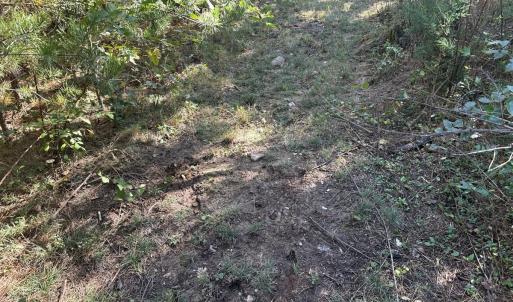 Photo #34 of  Off of Secretarys Sand Rd, Schuyler, VA 6.9 acres