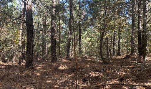 Photo #35 of  Off of Secretarys Sand Rd, Schuyler, VA 6.9 acres
