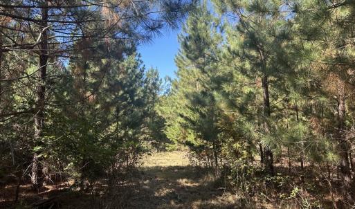 Photo #36 of  Off of Secretarys Sand Rd, Schuyler, VA 6.9 acres
