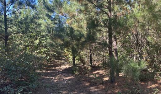 Photo #37 of  Off of Secretarys Sand Rd, Schuyler, VA 6.9 acres