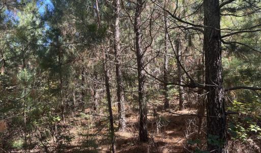 Photo #38 of  Off of Secretarys Sand Rd, Schuyler, VA 6.9 acres