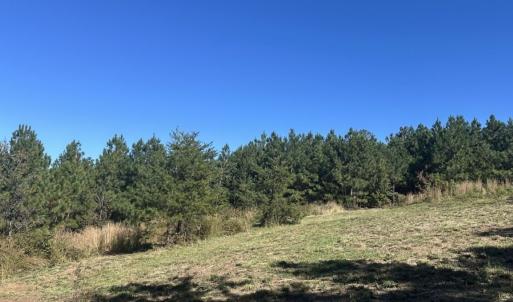 Photo #39 of  Off of Secretarys Sand Rd, Schuyler, VA 6.9 acres