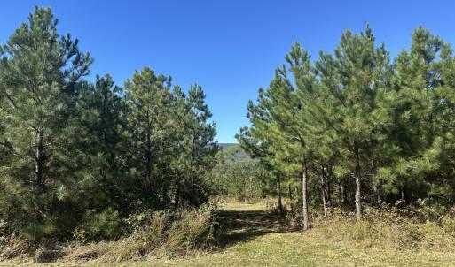 Photo #41 of  Off of Secretarys Sand Rd, Schuyler, VA 6.9 acres