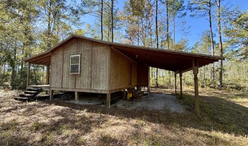 Photo #11 of 8004 White Oak River Road, Maysville, NC 117.3 acres