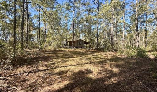 Photo #14 of 8004 White Oak River Road, Maysville, NC 117.3 acres