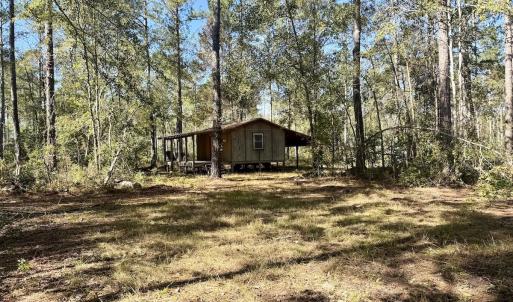 Photo #15 of 8004 White Oak River Road, Maysville, NC 117.3 acres