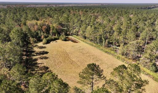 Photo #16 of 8004 White Oak River Road, Maysville, NC 117.3 acres