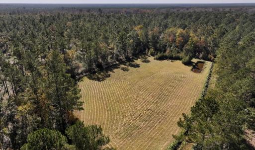 Photo #18 of 8004 White Oak River Road, Maysville, NC 117.3 acres
