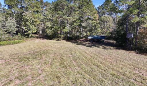 Photo #19 of 8004 White Oak River Road, Maysville, NC 117.3 acres