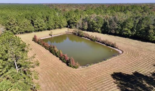 Photo #1 of 8004 White Oak River Road, Maysville, NC 117.3 acres