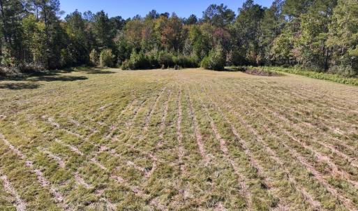Photo #20 of 8004 White Oak River Road, Maysville, NC 117.3 acres